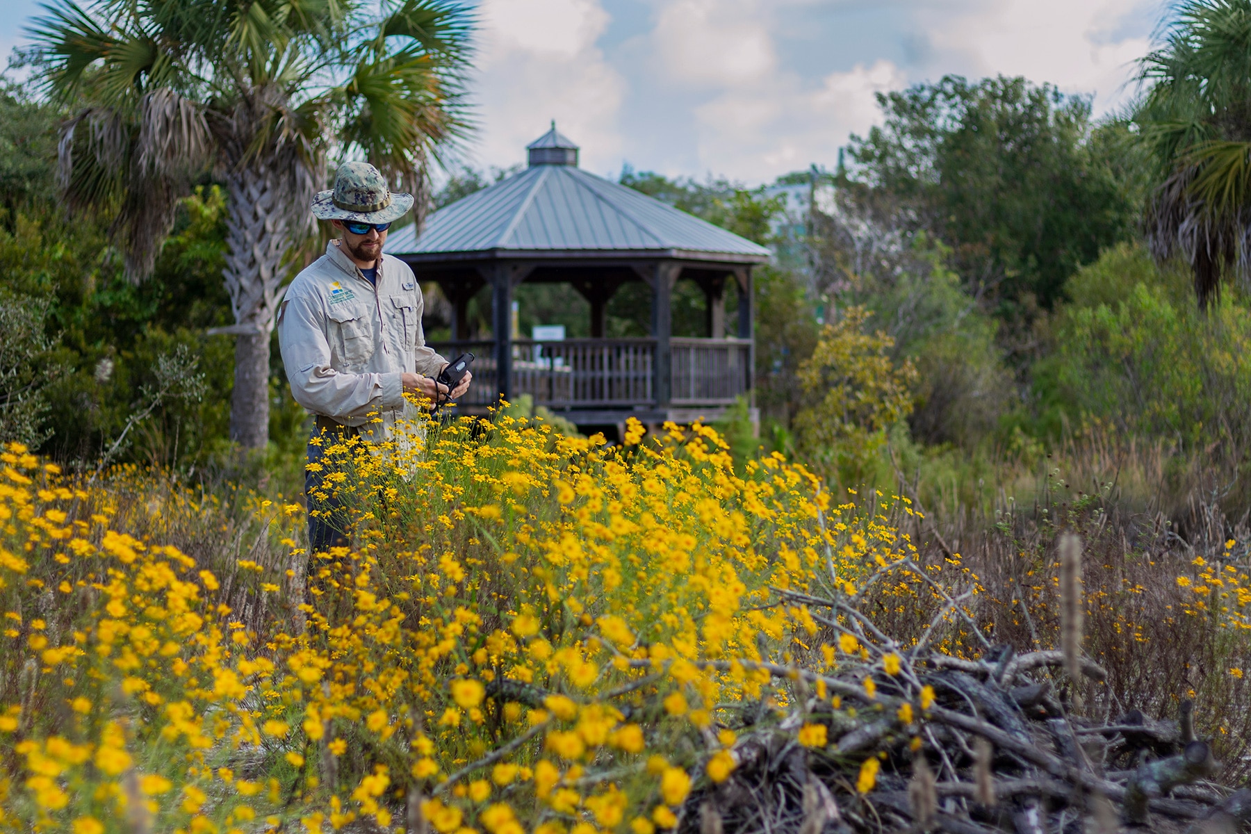 Conservancy of Southwest Florida biologist surveying species surrounded by yellow flowers