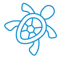 Icon Turtle
