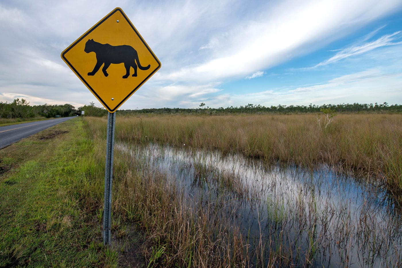 Panther crossing street sign on a rural road