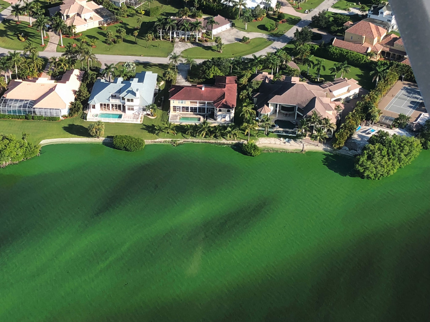 Aerial picture of algae in Collier County canal