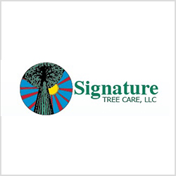 Signature Tree Care