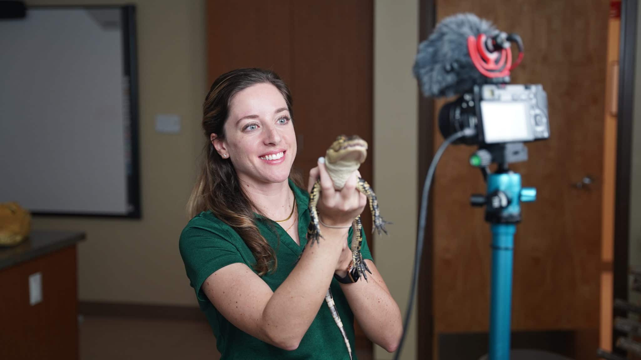 Conservancy educator holding a baby alligator in front of a live streaming camera