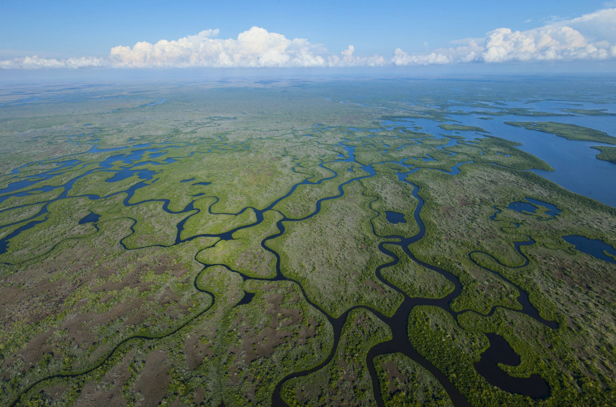 Aerial view, Everglades Natuional Park, FLORIDA, USA, AMERICA