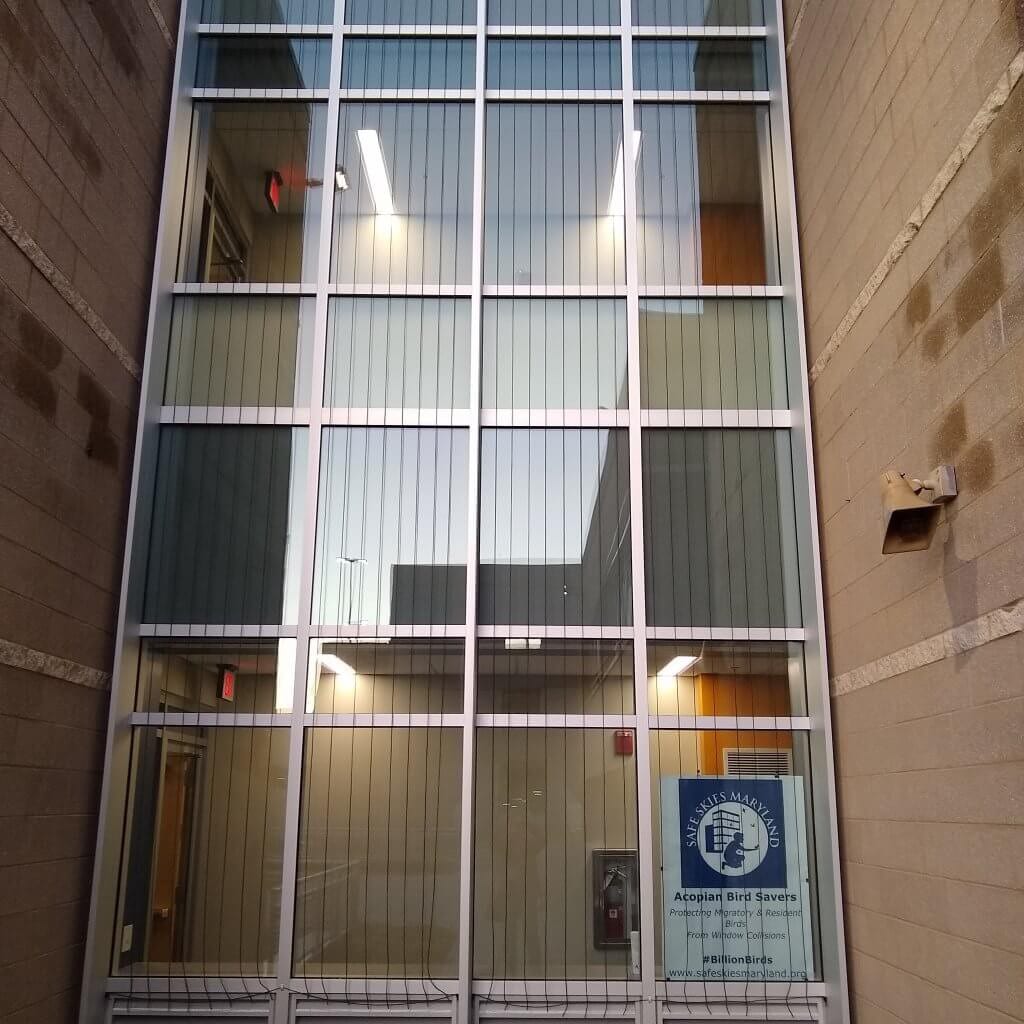 The Department of Natural Resources Tawes Building in Annapolis, MD using Acopian BirdSavers (paracords). Photo credit: SafeSkies Maryland https://abcbirds.org/glass-collisions/photo-gallery/?_paged=5