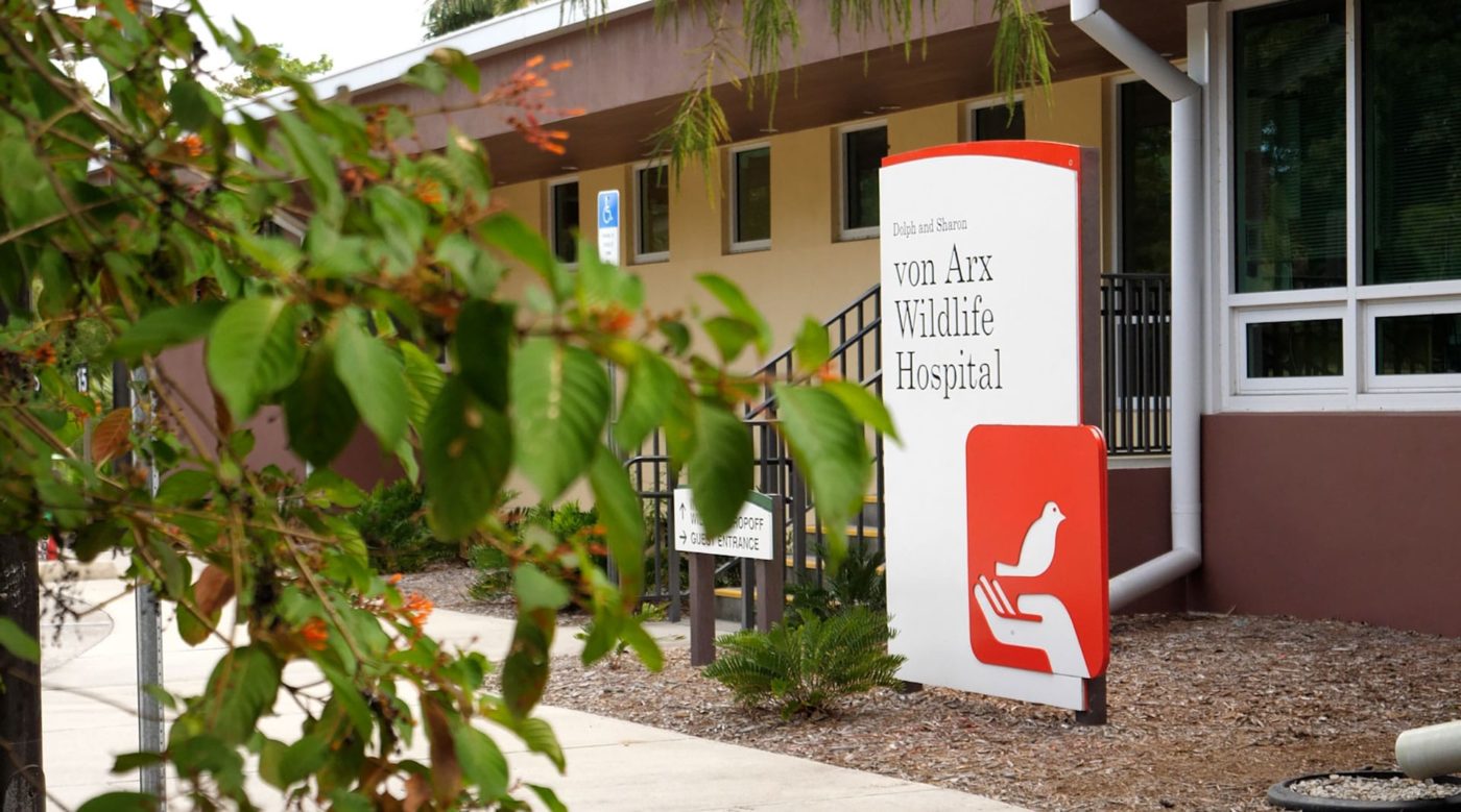 Wildlife Hospital Front Door Wildlife Hospital Front Door