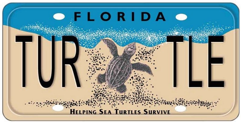 Turtle License Plate