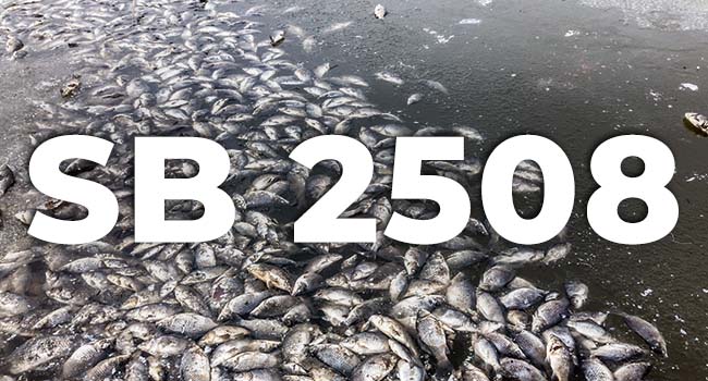 "SB 2508" displayed over dead fish in the water