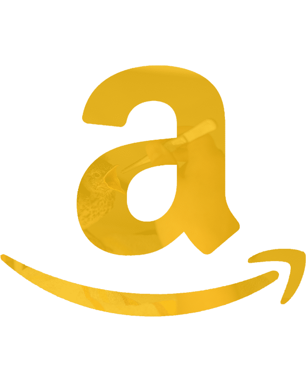 Amazon 4x5 Yellow