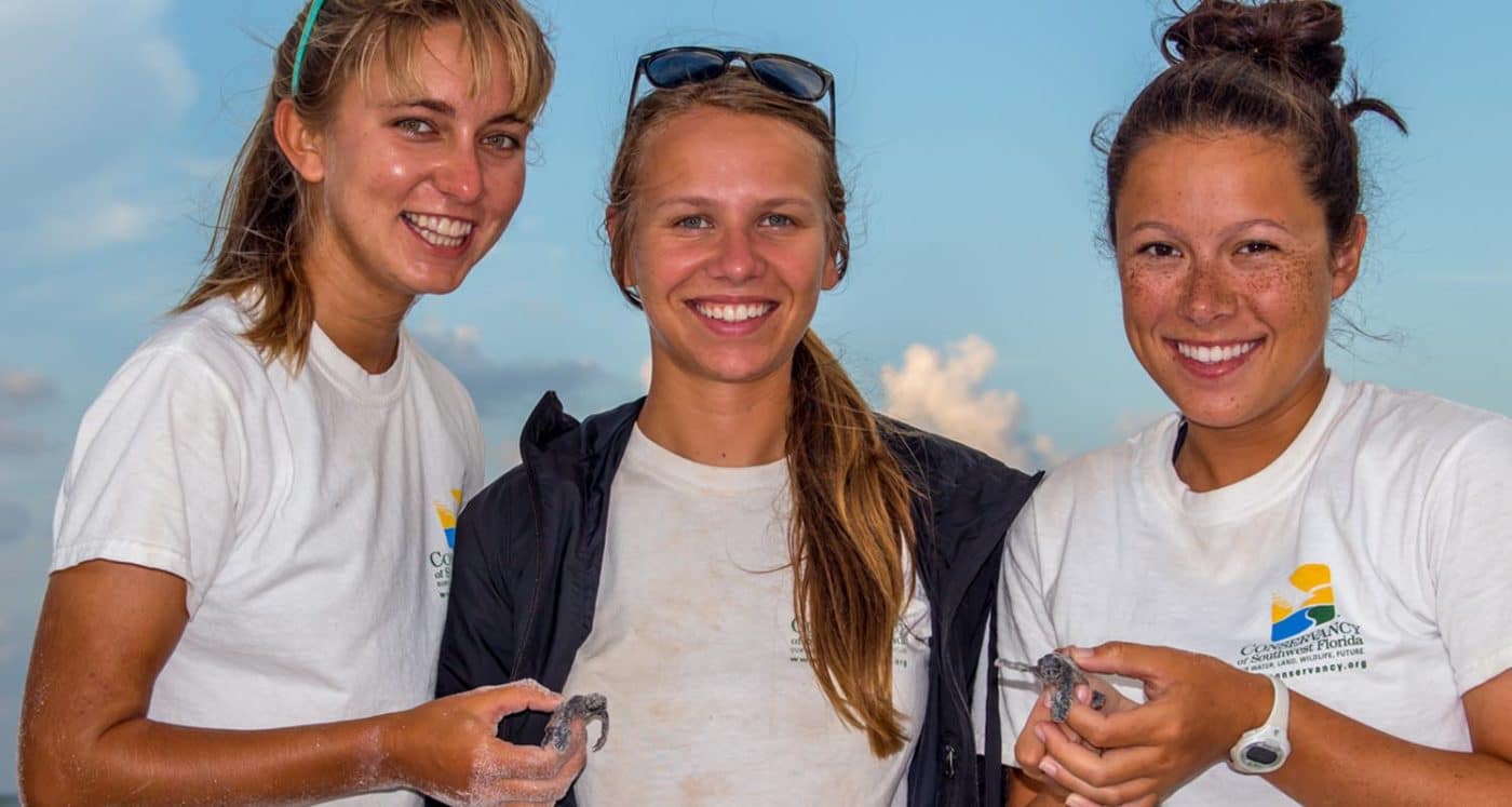 Celebrating 40 years of sea turtle research | Conservancy of Southwest ...