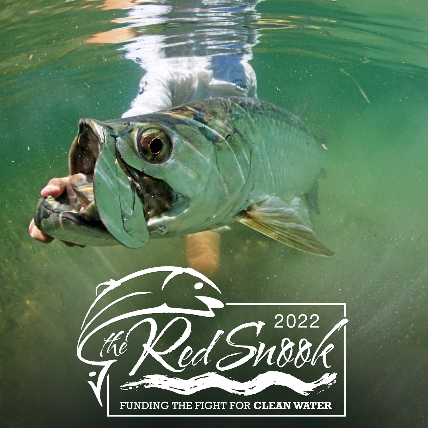 Man holding a snook underwater. Image has the RedSnook logo on it.