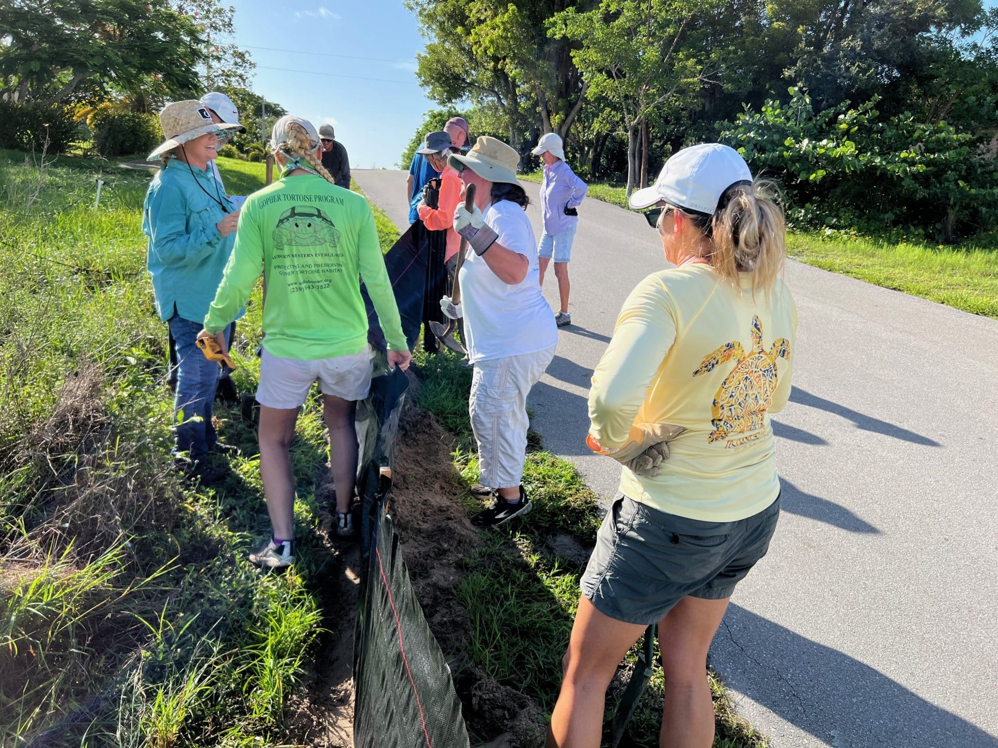 The volunteers work together to dig, place and fill a protective silt fence along the corner of Hawaii Drive and South Barfield Drive in Marco Island as a solution for preventing Gopher tortoise injuries.