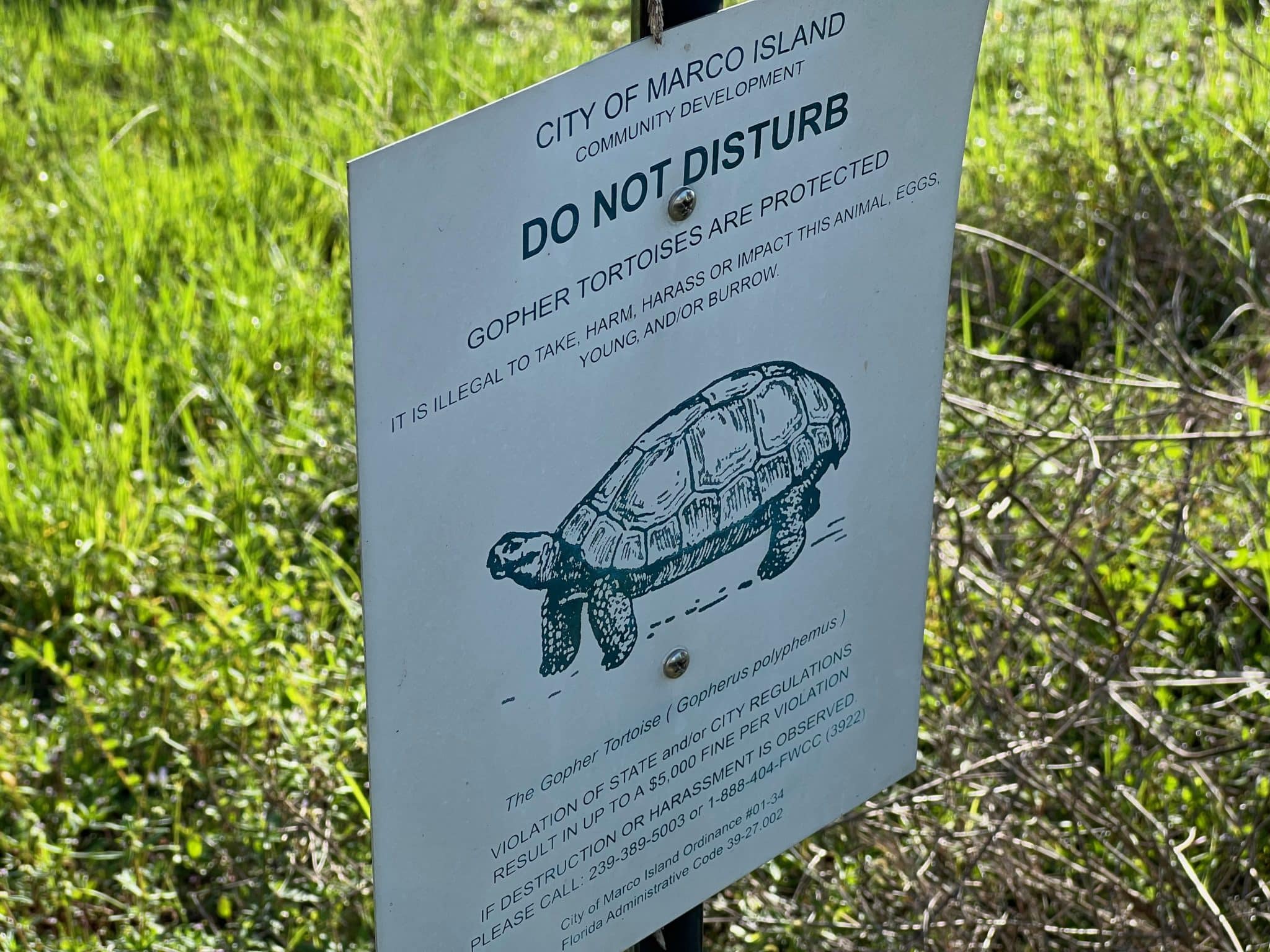 The area has more than 200 protected Gopher tortoise burrows as well as dozens of Burrowing owls.