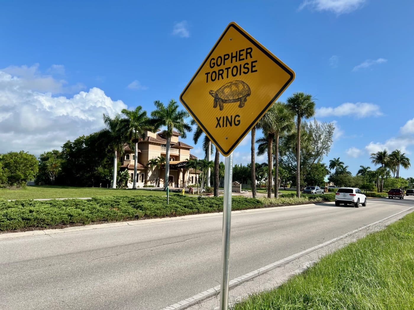 Marco Tortoise Fence 18 | Conservancy of Southwest Florida