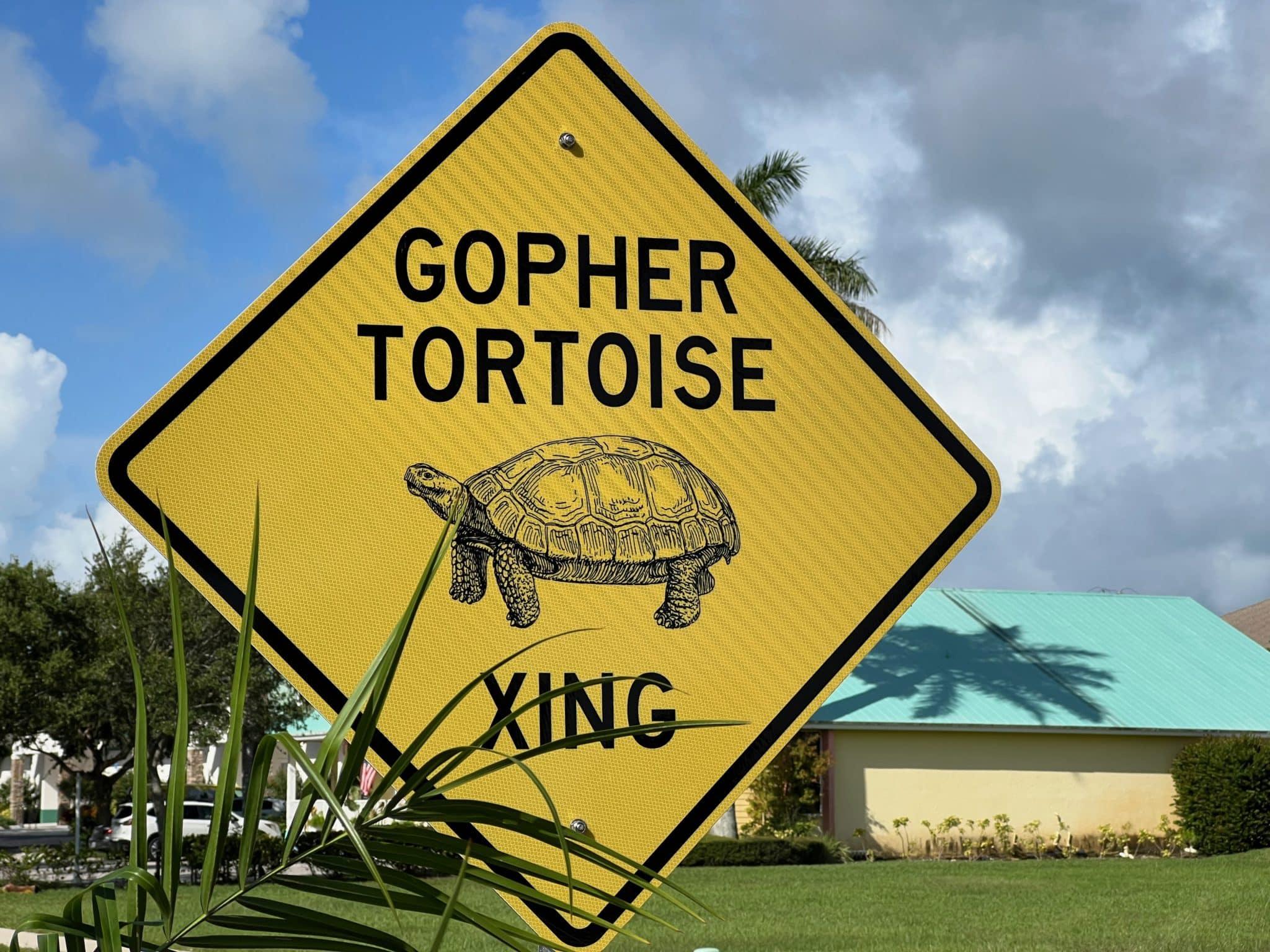 Gopher tortoise crossing sign
