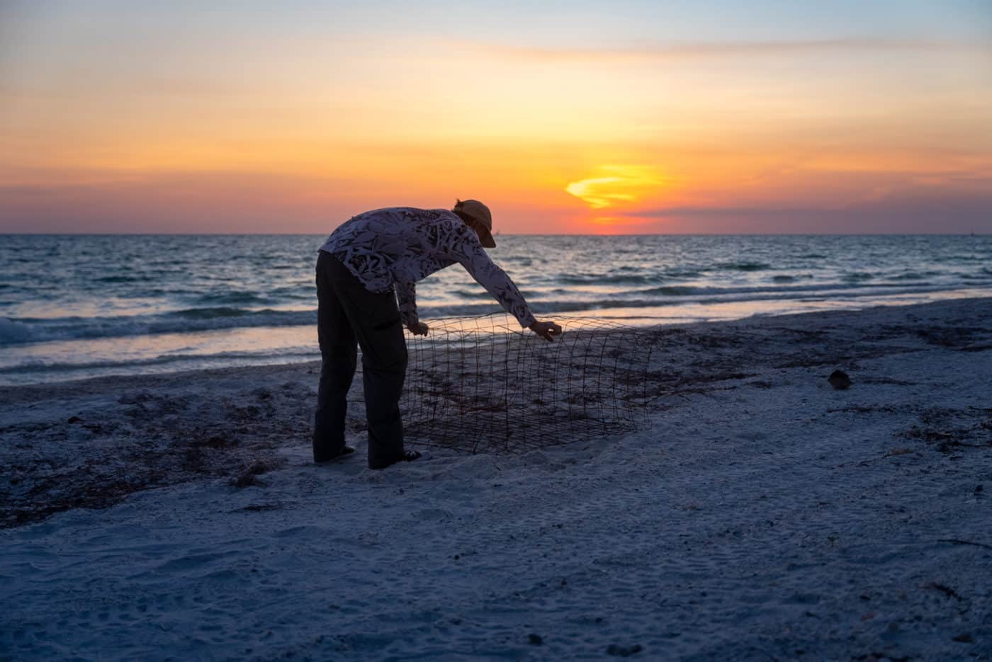 Dr. Jeff Schmid setting a cage to protect a sea turtle nest