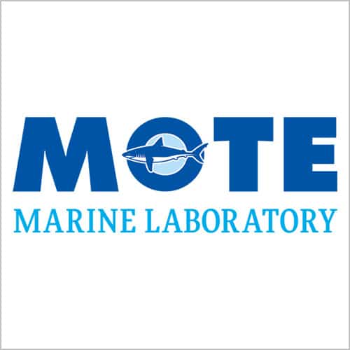 Mote Marine Corp Logo