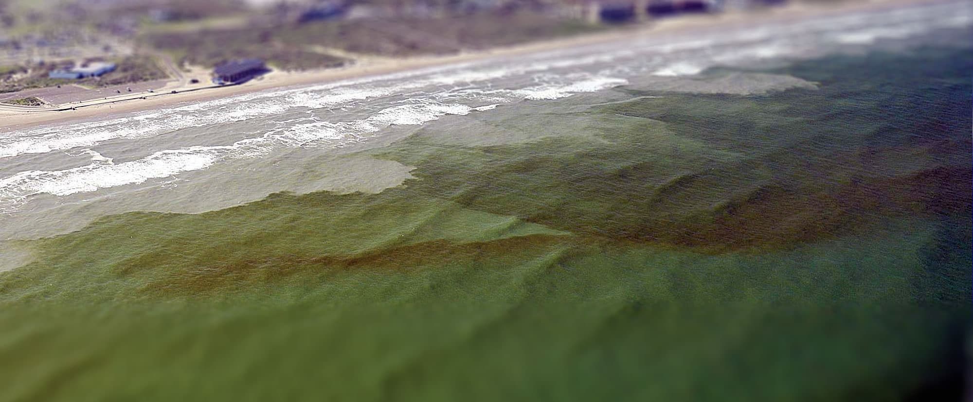 Red tide in Southwest Florida | Image from NOAA