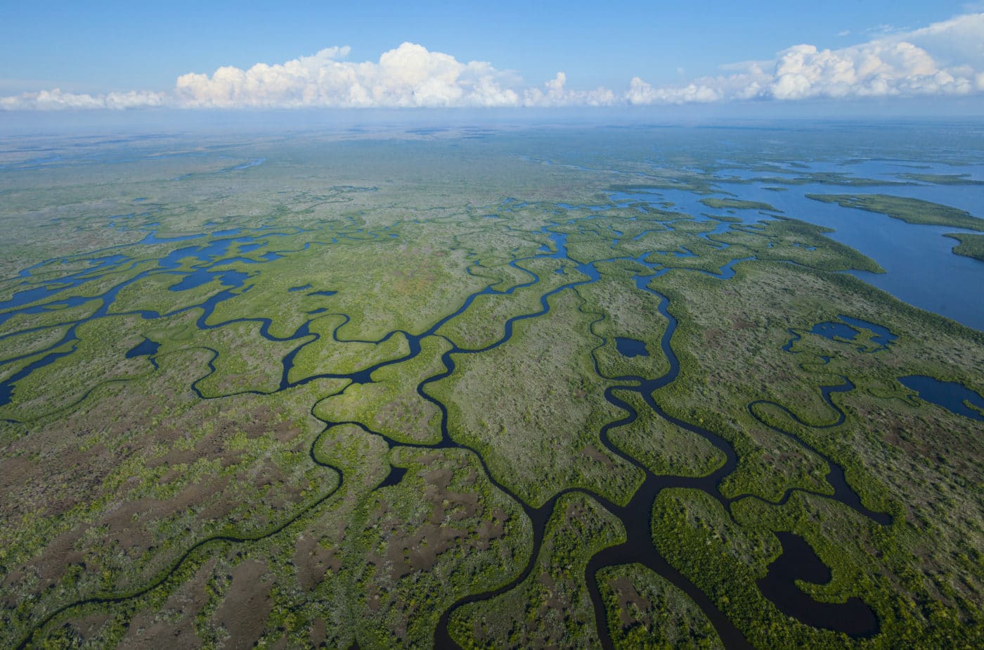 Everglades Aerial AS 249280843 1400x924
