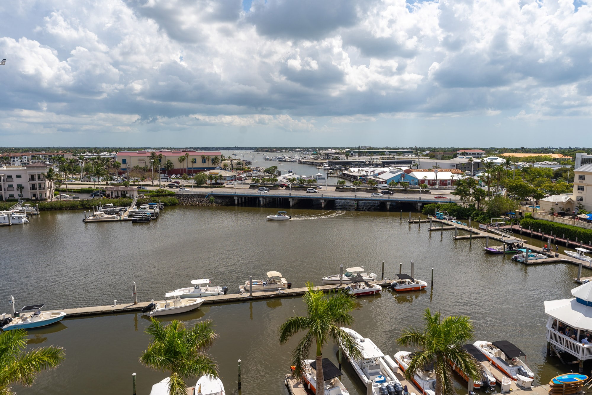 Could artificial oyster reefs help threatened Gulf sturgeon?