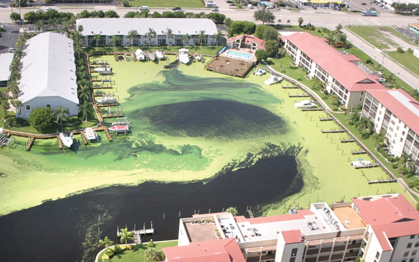 Algae Hotels
