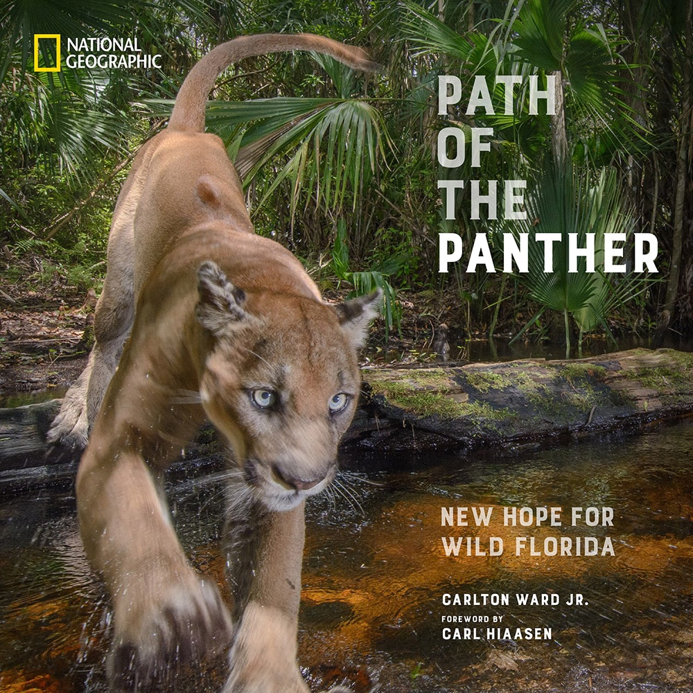 Path Of The Panther Book