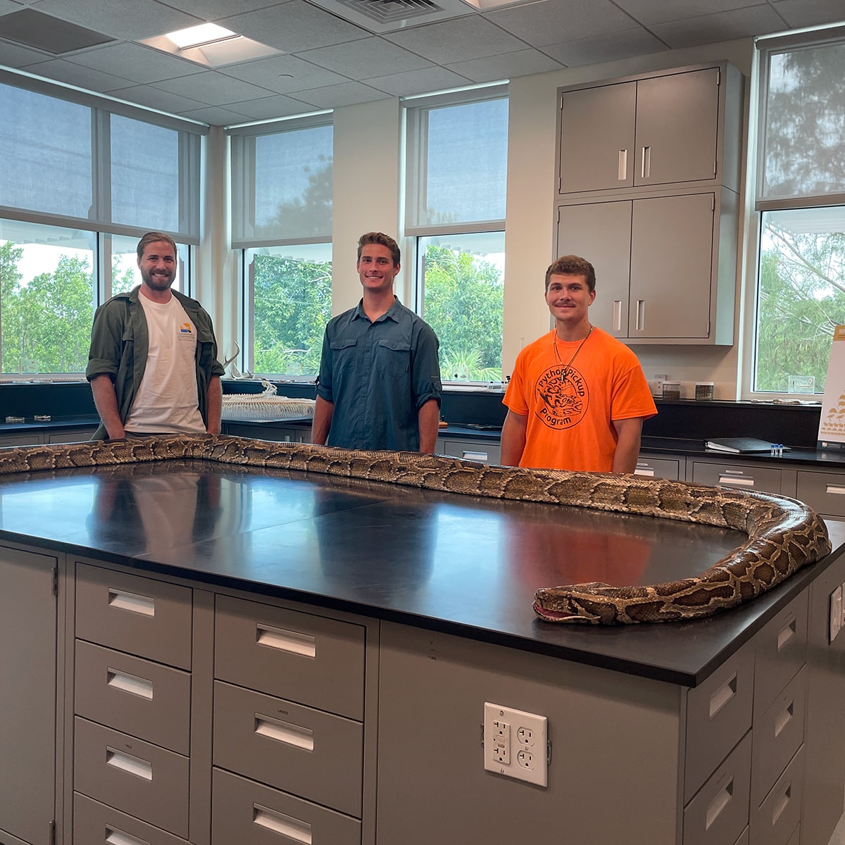 19-foot python stretched out in the Conservancy Science Lab