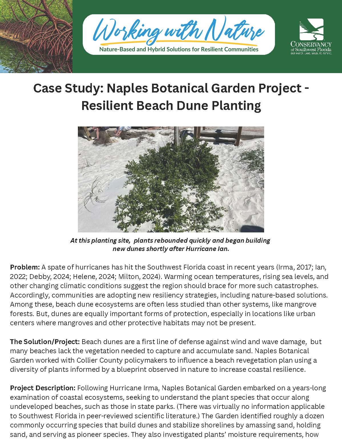 NBS Fact Sheet Naples Botanical Garden Dune Planting Finalized July2025 Standard Page 1