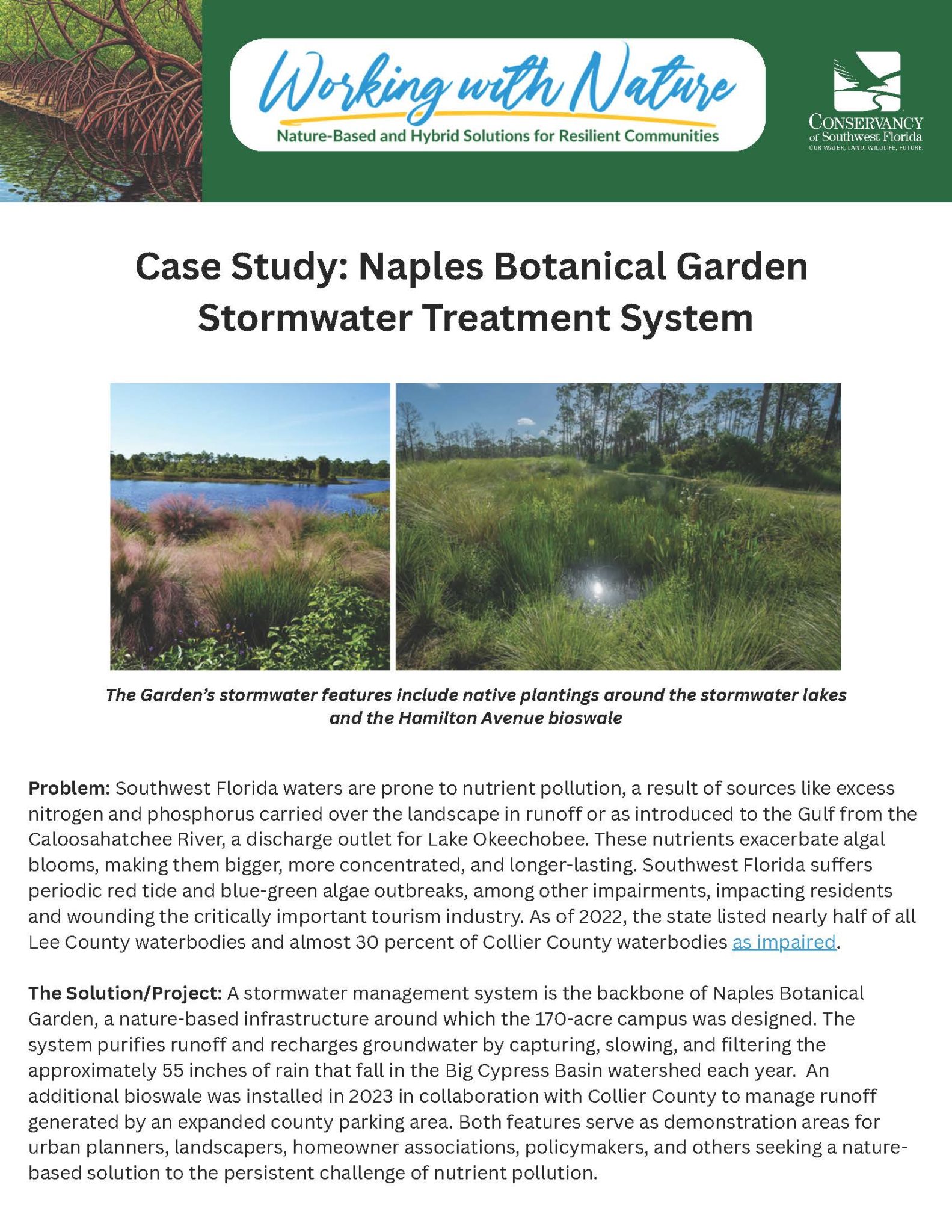 NBS Fact Sheet Naples Botanical Garden Stormwater Treatment Finalized July 2025 Standard Page 1