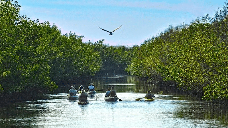 Guided Canoe Trip CSSP DSC 0440 (1)