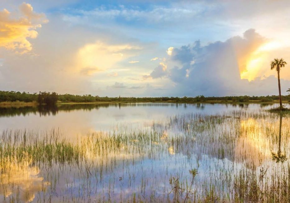 Water Quality Header