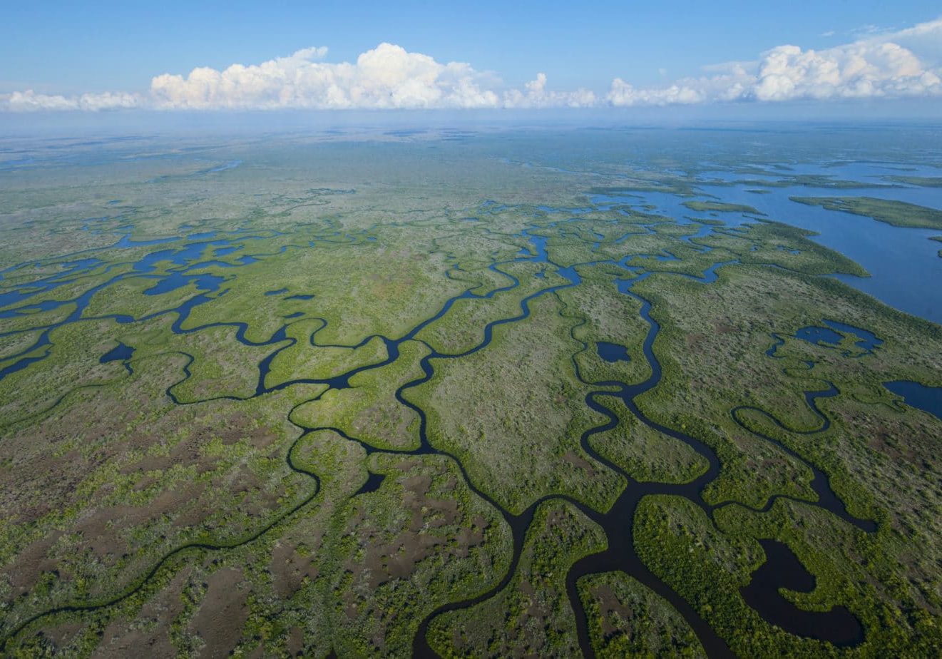 Everglades Project Tile, Leg Priorities Header Aerial view, Everglades Natuional Park, FLORIDA, USA, AMERICA