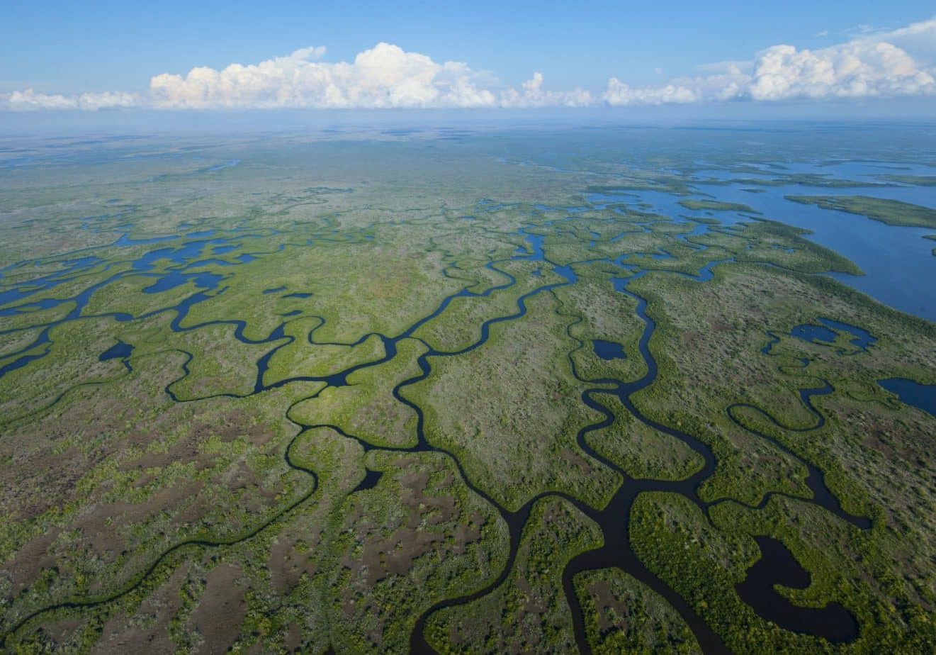 Aerial view, Everglades Natuional Park, FLORIDA, USA, AMERICA