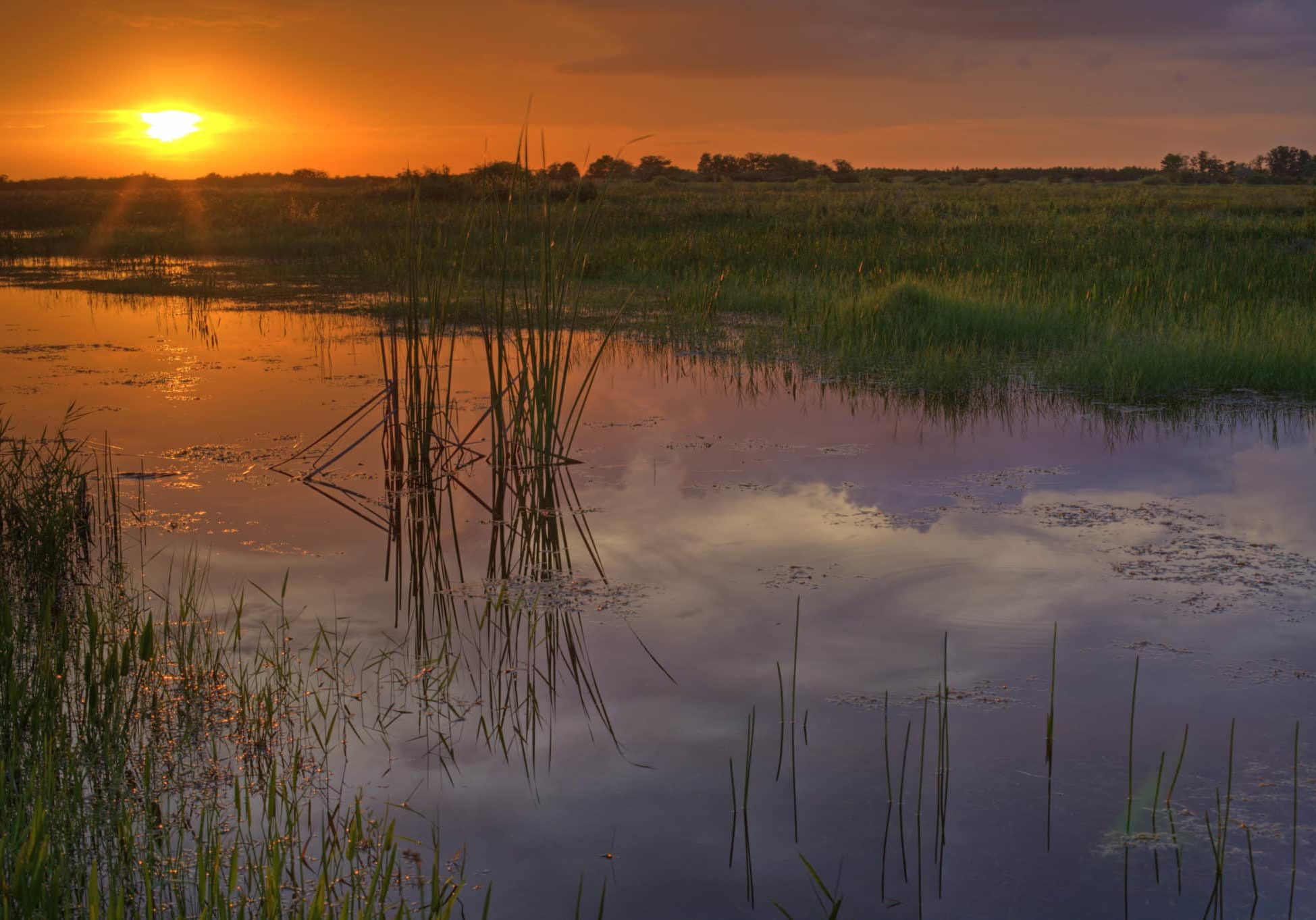 Everglades Everglades Sunset
