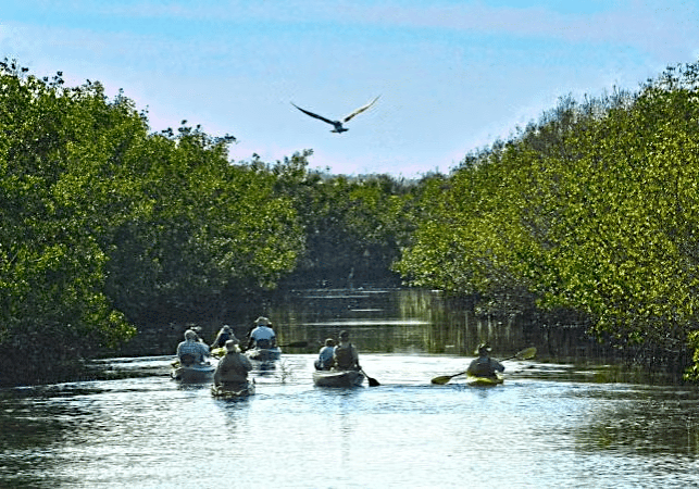 Guided Canoe Trip CSSP DSC 0440 (1)