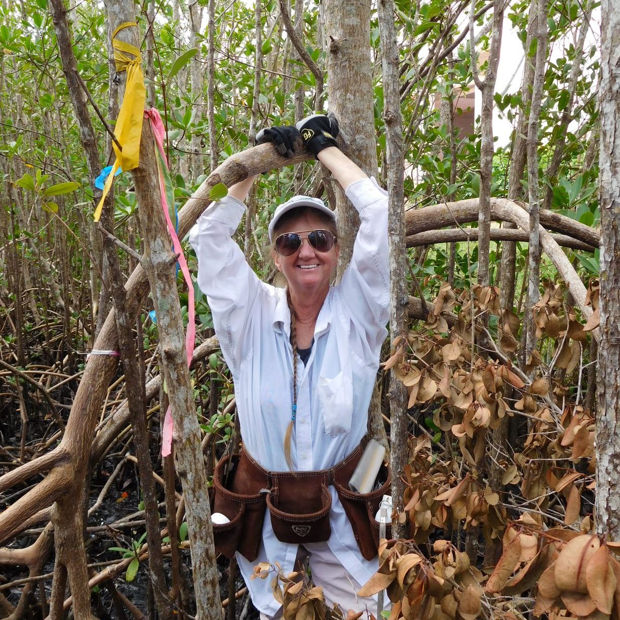 Kathy Worley - Conservancy Science Director in the mangroves