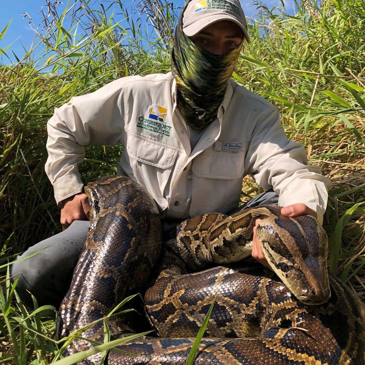 Invasive Snake Species in Florida: A Comprehensive Guide to Understanding and Managing the Threat