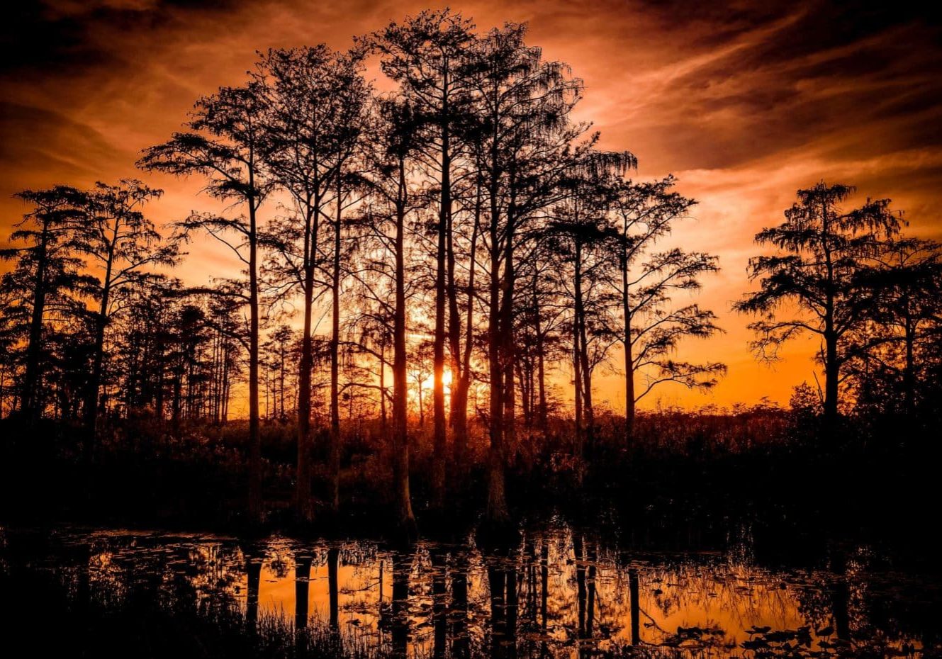 Reflections of a sunset in the Florida Everglades