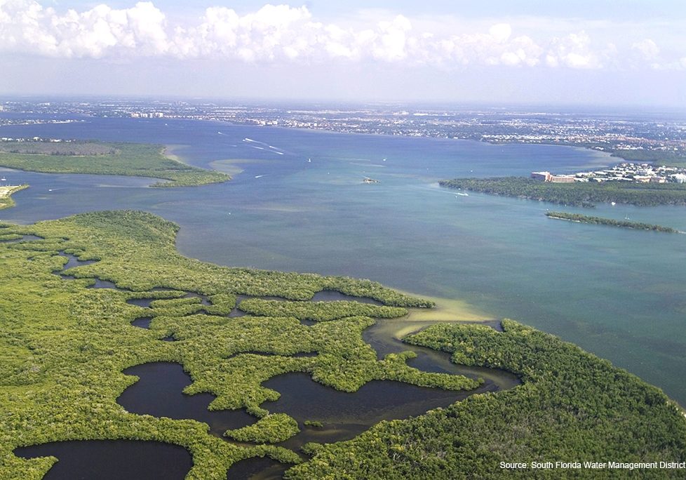 03/01/07 Mouth of Caloosahatchee River estuary San Carlos Bay West Coast