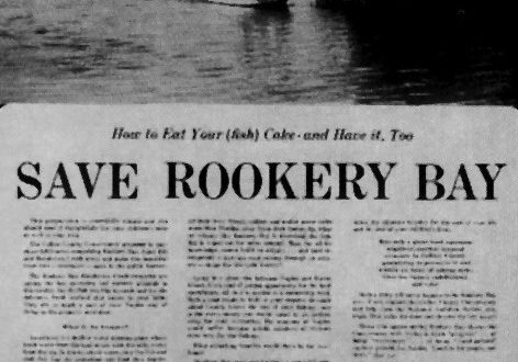 Old newspaper clipping that says, "Save Rookery Bay"
