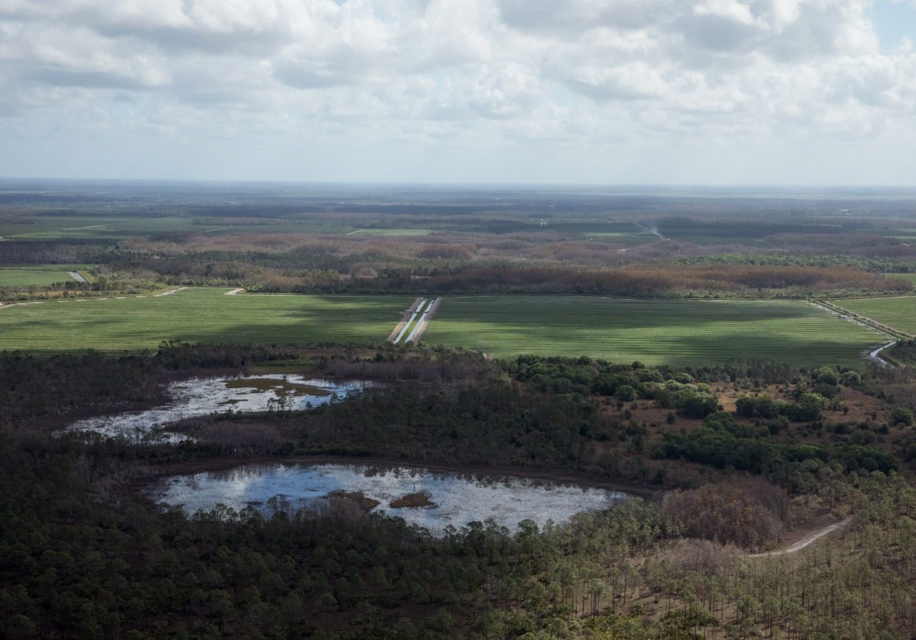 Aerial photo of the DR/GR near the Troyer Mine n Estero, FL
