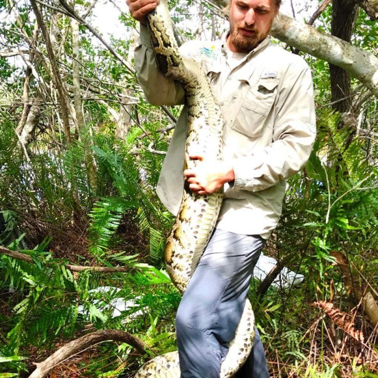 Ianeasterlingnsnake