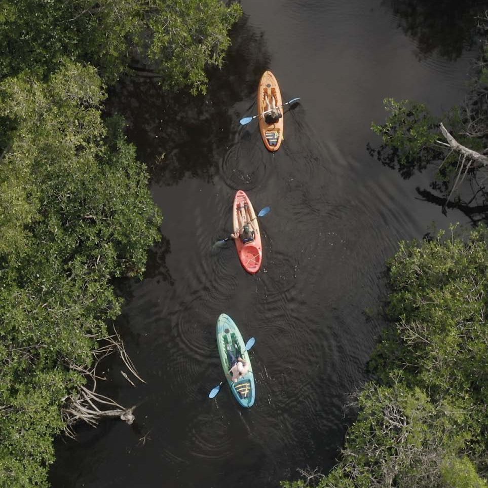 Kayakersgordonriver