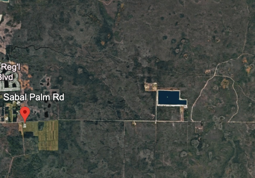sabal palm map